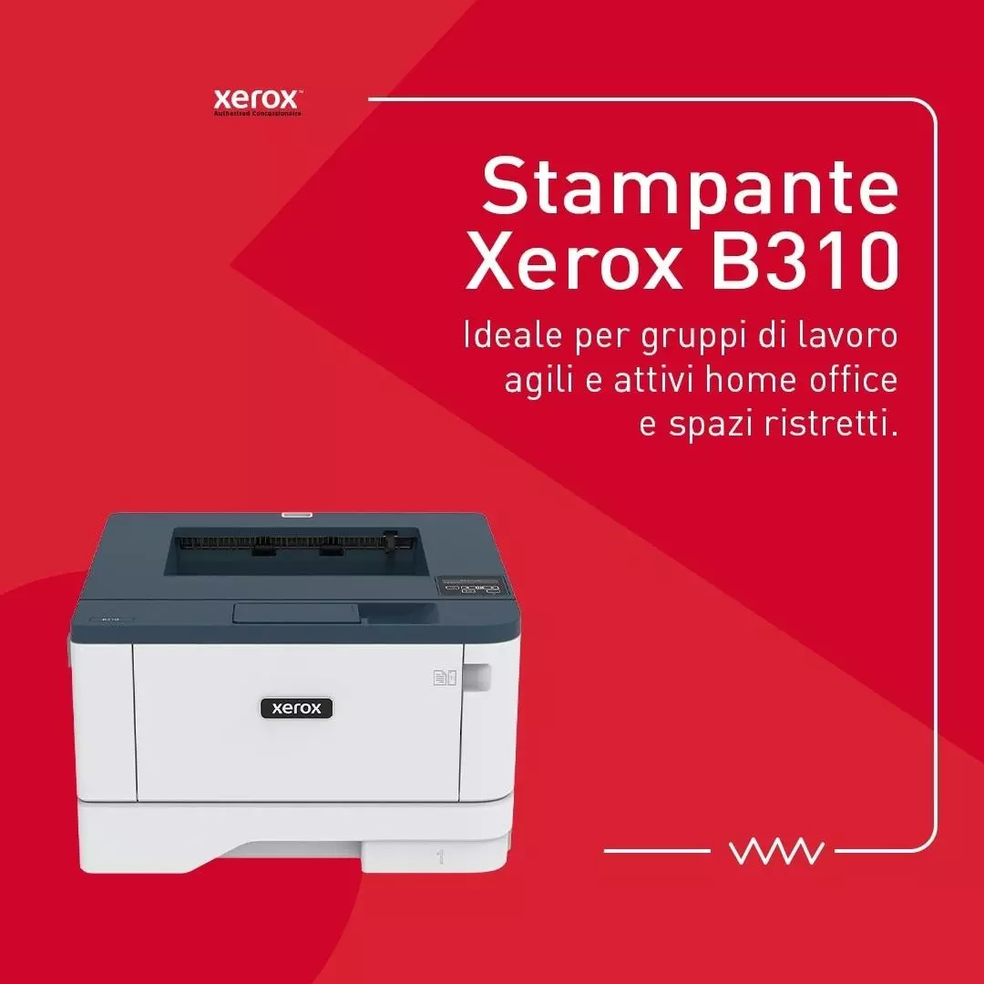 Stampante Bianco e Nero - Xerox® B310